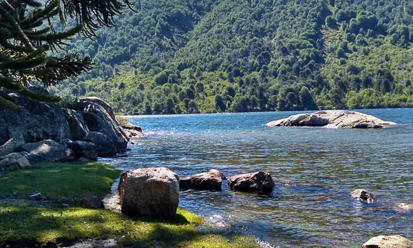 Red-de-Concejales-37 copia