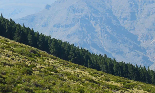 Red-de-Concejales-47 copia