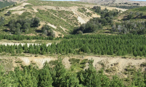 Red-de-Concejales-64 copia