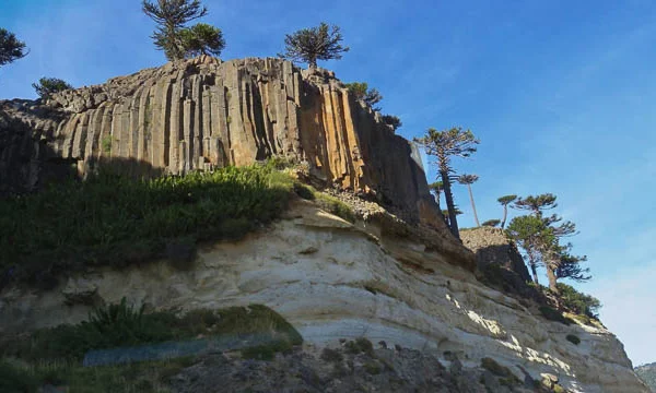 Red-de-Concejales-66 copia